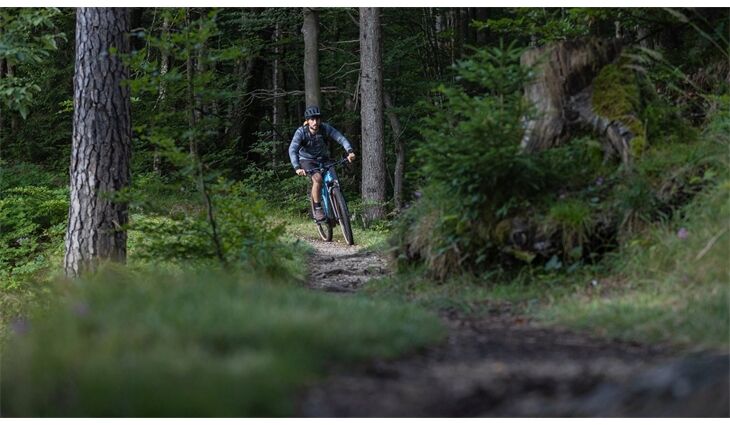 CUBE Reaction Hybrid Race L CX800 Trapez 2025