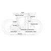 CUBE Bikes Nulane Hybrid C:62 Race FE XL SX400 2025 KW14