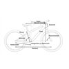 CUBE Bikes MTB24 Acid 240 Disc 118-136cm 2025