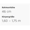Riese&Müller Charger4 GT Touring 49 cm ABS/RX/GX/300/Kette/750