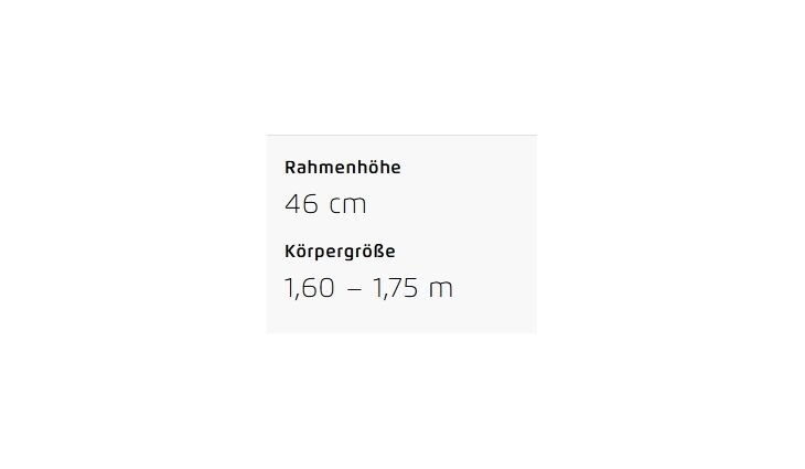 Riese&Müller Charger4 GT Touring 49 cm ABS/RX/GX/300/Kette/750