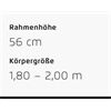 Riese&Müller Charger4 GT Touring 49 cm ABS/RX/GX/300/Kette/750