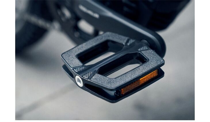 Riese&Müller Charger4 GT Touring 49 cm ABS/RX/GX/300/Kette/750