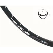 RYDE Vorderrad 29 21-622 15 CL Taurus Disc