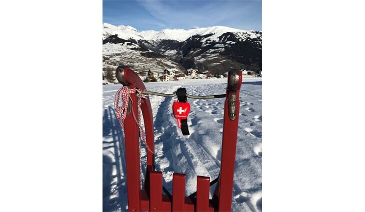 Swisstrailbell Glocke Schweizerkreuz weiß