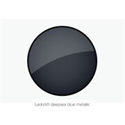 Riese&Müller Lackstift Homage 8MÖ