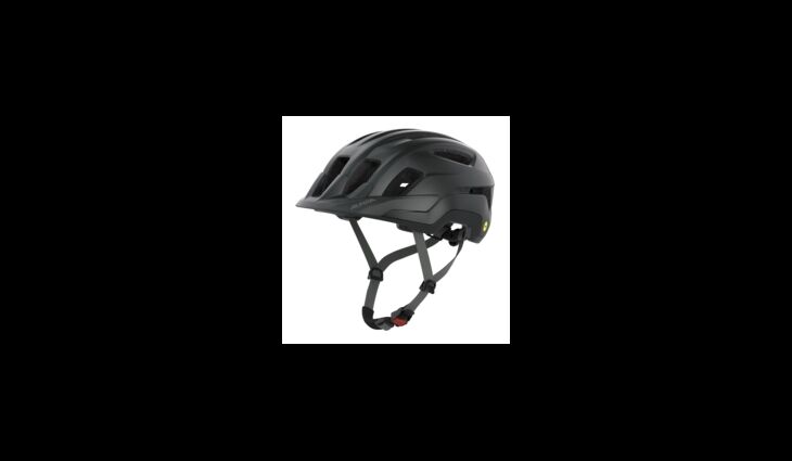 ALPINA Helm PARANUS 52-56