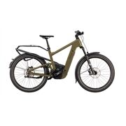 Riese&Müller Delite5 GT Pinion 800 51cm MGU Test 2025