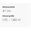 Riese&Müller Delite5 GT Pinion 800 51cm MGU Test 2025