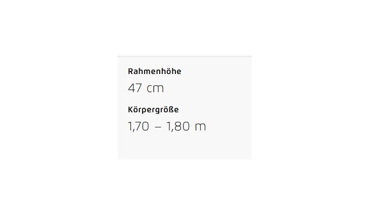 Riese&Müller Delite5 GT Pinion 800 51cm MGU Test 2025
