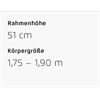 Riese&Müller Delite5 GT Pinion 800 51cm MGU Test 2025