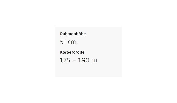 Riese&Müller Delite5 GT Pinion 800 51cm MGU Test 2025