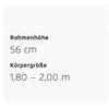 Riese&Müller Delite5 GT Pinion 800 51cm MGU Test 2025