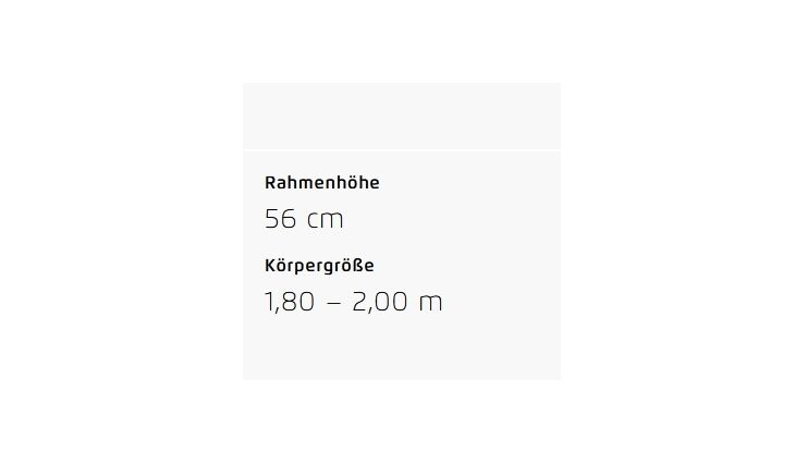 Riese&Müller Delite5 GT Pinion 800 51cm MGU Test 2025