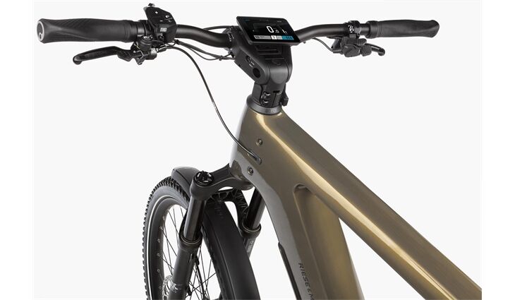 Riese&Müller Delite5 GT Pinion 800 51cm MGU Test 2025