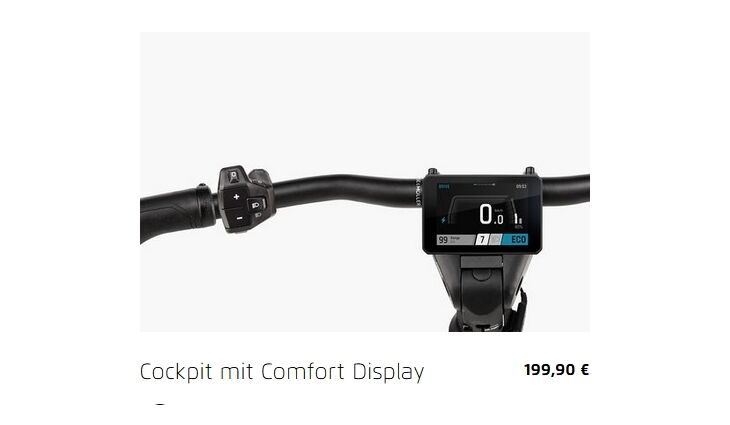 Riese&Müller Delite5 GT Pinion 800 51cm MGU Test 2025