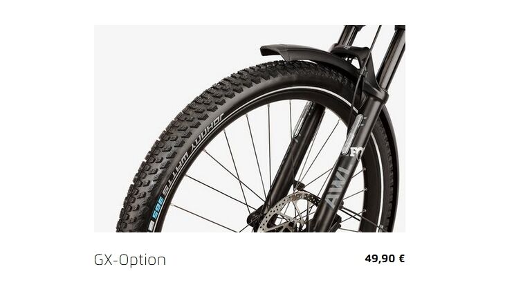 Riese&Müller Delite5 GT Pinion 800 51cm MGU Test 2025