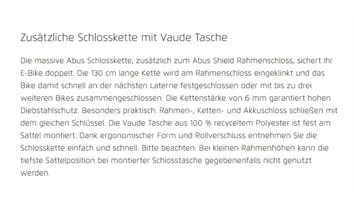 Riese&Müller Delite5 GT Pinion 800 51cm MGU Test 2025