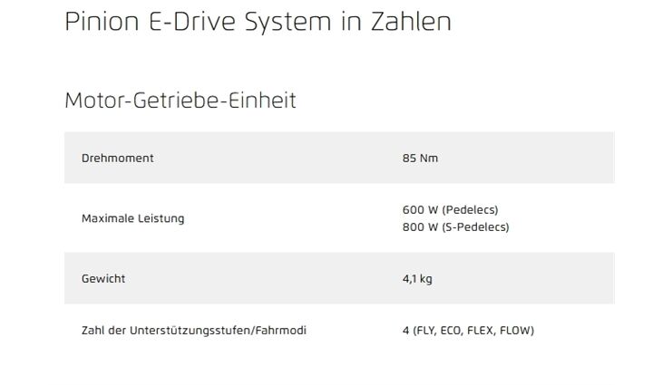 Riese&Müller Delite5 GT Pinion 800 51cm MGU Test 2025