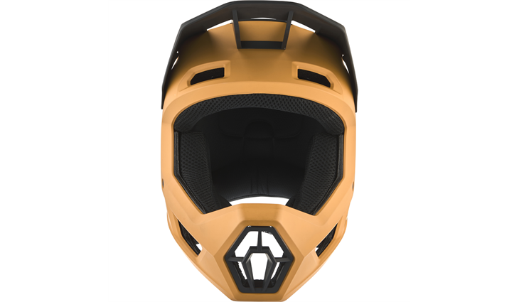 ALPINA Helm Fullface PIKES MIPS 52-55