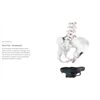 SQlab Sattel 6OX 14 Infinergy ERGOWAVE active 2.1 ClipOn