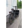 Riese&Müller Gebraucht Elektro Load 60 Rohloff 2022 Sonder