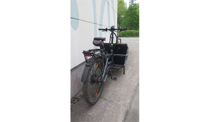 Riese&Müller Gebraucht Elektro Load 60 Rohloff 2022 Sonder