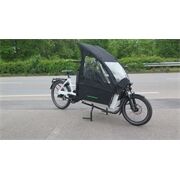 Riese&Müller Gebraucht Transporter 65 Vario Bosch 500 65Nm
