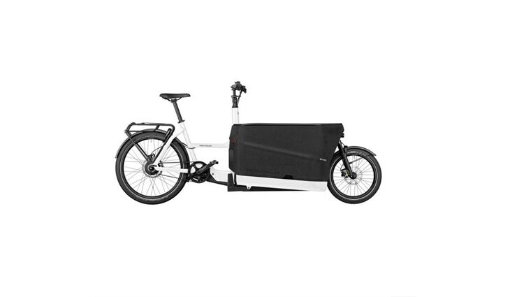Riese&Müller Elektro Packster 70 Vario Sonder