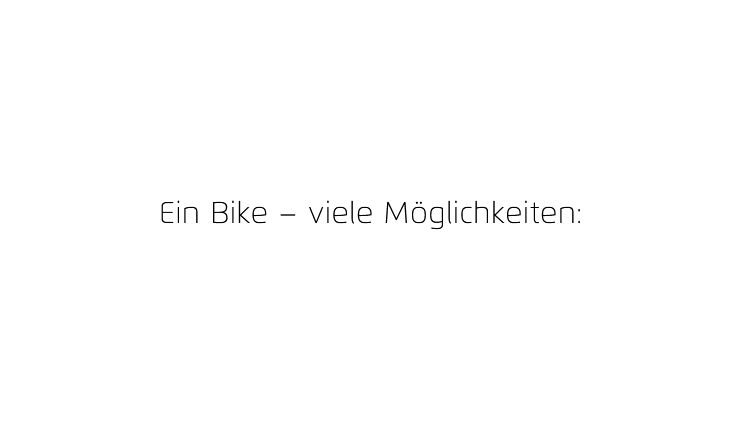 Riese&Müller Superdelite5 GT Rohloff Sond 51cm CX5 1200WH 2025