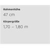 Riese&Müller Superdelite5 GT Rohloff Sond 51cm CX5 1200WH 2025