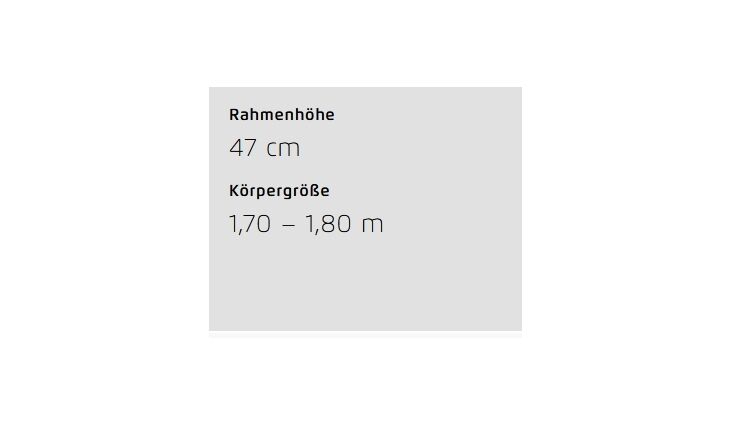 Riese&Müller Superdelite5 GT Rohloff Sond 51cm CX5 1200WH 2025