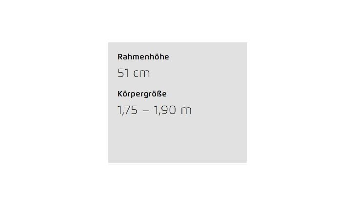 Riese&Müller Superdelite5 GT Rohloff Sond 51cm CX5 1200WH 2025