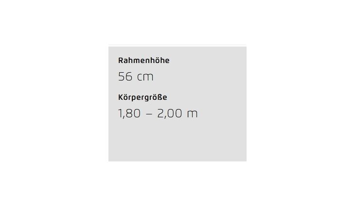 Riese&Müller Superdelite5 GT Rohloff Sond 51cm CX5 1200WH 2025