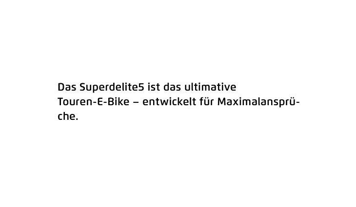 Riese&Müller Superdelite5 GT Rohloff Sond 51cm CX5 1200WH 2025