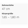 Riese&Müller Homage5 GT Pinion 800 51cm MGU Sonder 2025
