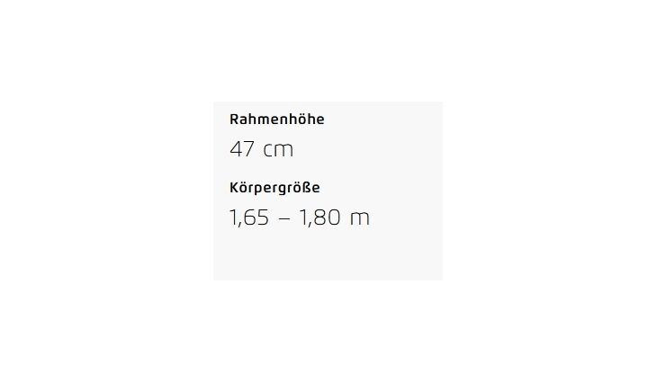 Riese&Müller Homage5 GT Pinion 800 51cm MGU Sonder 2025