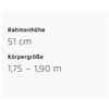 Riese&Müller Homage5 GT Pinion 800 51cm MGU Sonder 2025