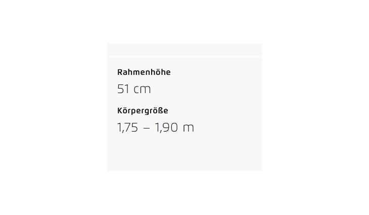 Riese&Müller Homage5 GT Pinion 800 51cm MGU Sonder 2025