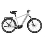 Riese&Müller Charger5 Pinion 12MGU 53cm FIT800WH RX Test 2026