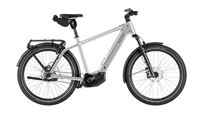 Riese&Müller Charger5 Pinion 12MGU 53cm FIT800WH RX Test 2026