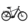Riese&Müller Charger5 Pinion 12MGU 53cm FIT800WH RX Test 2026