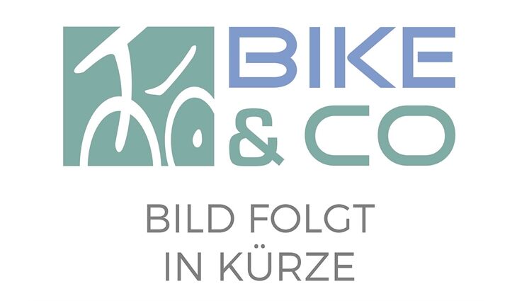 Schwalbe Fahrradschlauch SCV Ventil Nr. 17 28" SCV 40 mm 28