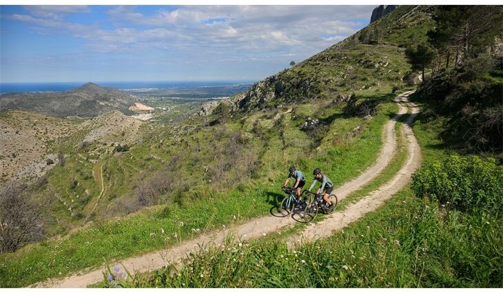 CUBE Gravel Nuroad Race 2x12 GR X XL 2026