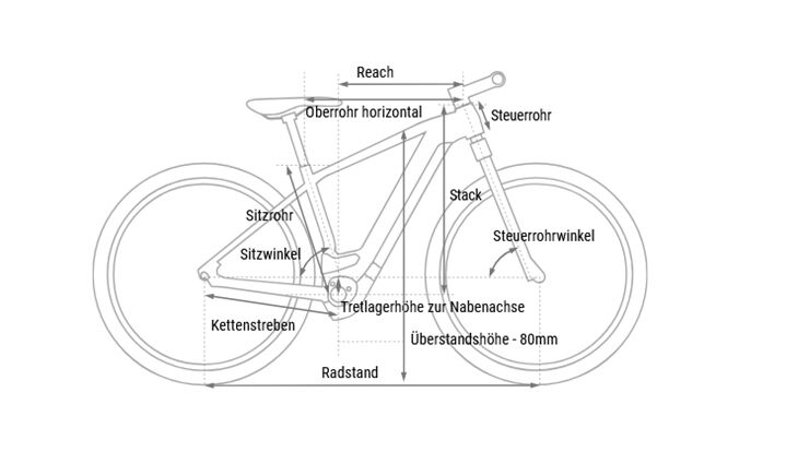 CUBE Reaction Hybrid Pro FE 800 CX38 800 12Gang M 2026