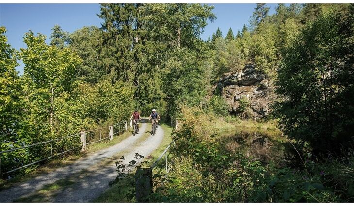 CUBE Reaction Hybrid Race 800 CX38 800 12Gang L 2026