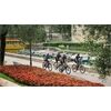 CUBE MTB Aim Pro FE XL 29 10 Gang 2026