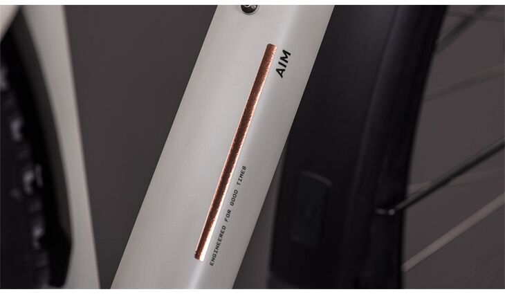 CUBE MTB Aim Pro FE L 10 Gang 2026