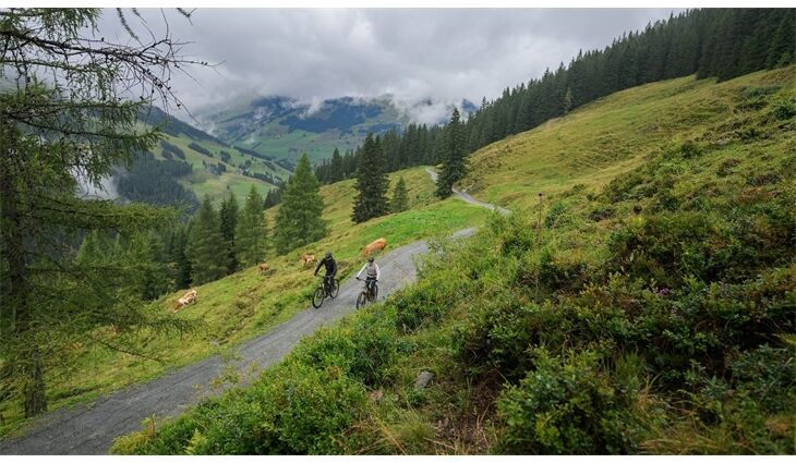 CUBE Stereo Hybrid ONE22 SLT 800 L CX38 Di2 2006