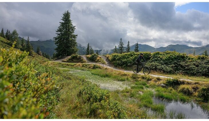 CUBE Stereo Hybrid ONE44 EXC 800 M ABS CX38 2026